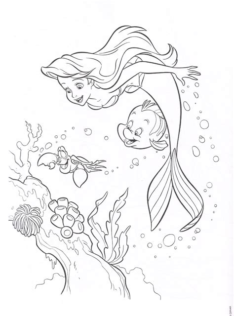 How To Draw And Color The Little Mermaid Ariel And Fish Drawing