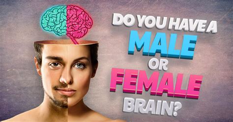 Do You Have A Male Or Female Brain