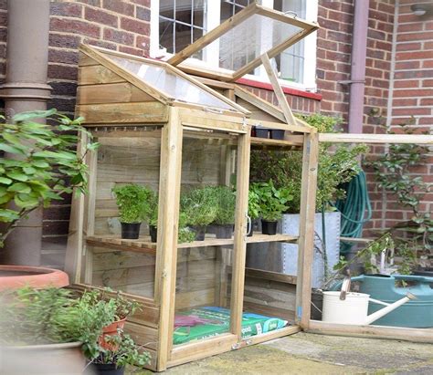 Forest Mini Wooden Greenhouse Wooden Greenhouses Greenhouse Patio