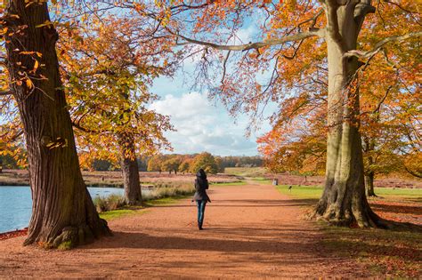 Fall In Love With Richmond Park In London The World Is Kullin
