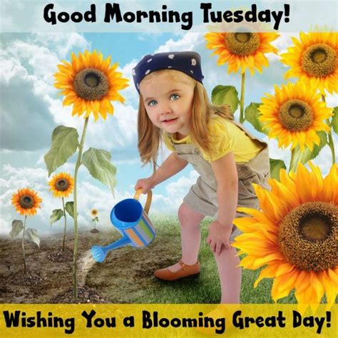 Many free printable pdf pages and large jpeg files to download of these quotes to use on facebook and social this page contains graphics, funny saying, and quotes about tuesday that are ideal to use for teacher publications, teacher blogs, websites, and. 55 Funny Tuesday Quotes and Images with Inspirational ...