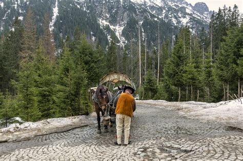 Zakopane Tłumy Turystów Pod Tatrami Zamknięta Droga Na Morskie Oko