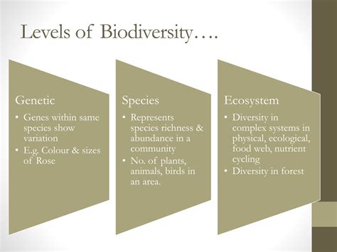 Ppt Biodiversity And Its Conservation Powerpoint Presentation Free