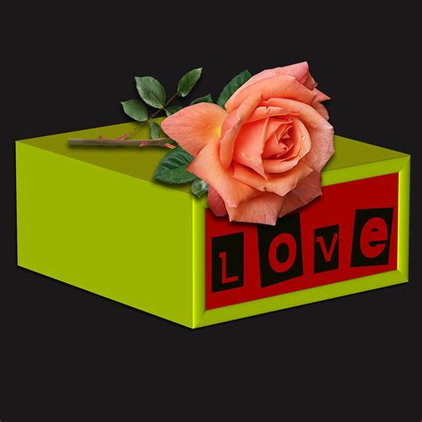 Rose In The Box By Susanlu4esm