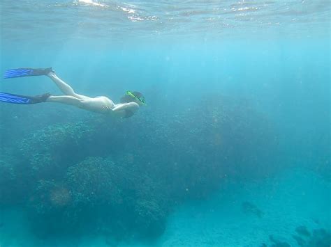 Best Snorkeling In Hawaii By Month Hawaii Vacation Guide Trip To Maui