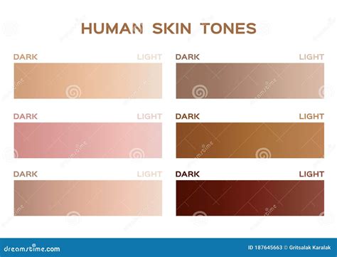 Skin Tone Color Infographic Gradient Stock Vector Illustration Of