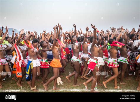 Ludzidzini Swaziland Africa Annual Umhlanga Or Reed Dance Stock