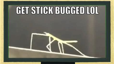 Get Stick Bugged Lol Meme Rick And Morty Get Rick Bugged Lol Youtube