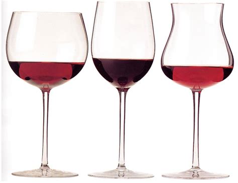 ad ogni vino il suo bicchiere guida veloce per il brindisi perfetto panoramachef