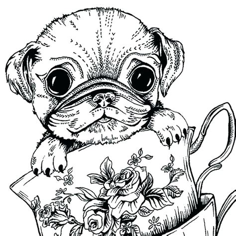 Pug Puppies Coloring Cute Coloring Pages