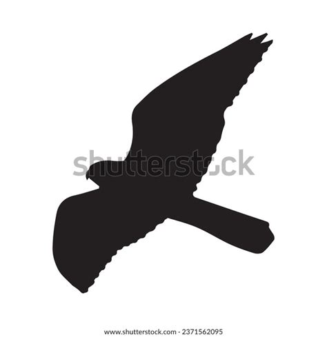 Vector Illustration Falcon Silhouette Art Stock Vector Royalty Free