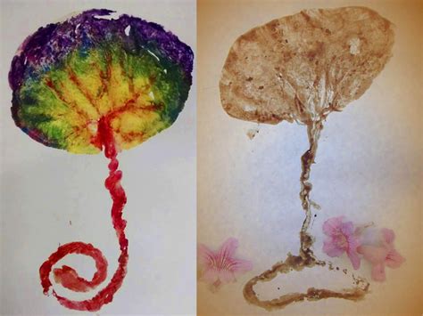 The placenta is a temporary fetal organ that begins developing from the blastocyst shortly after implantation. Guardar, enterrar, comer: o que fazer com a placenta??