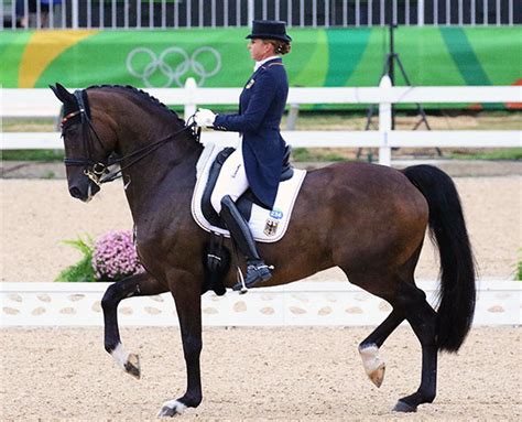 I must agree with outofsync, i'm a new convert to the grand prix attack and have had good results with it against a and b players. Horses Etc. LLC: Olympic Dressage Grand Prix Day 1 Photo ...