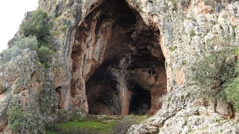 Did Cavemen Live In Caves Kidpid
