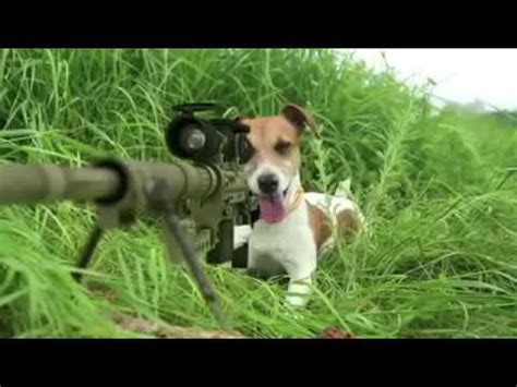 Puppies with guns, we're just that. Funny dog shooting a squirrel - YouTube