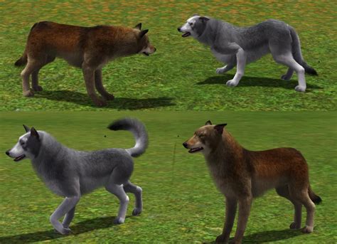 Mod The Sims Wolves For Your Sims