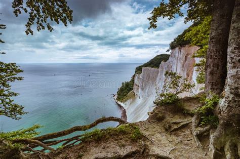 View Through The Tree Onto Mons Klint Cliffs Stock Image Image Of