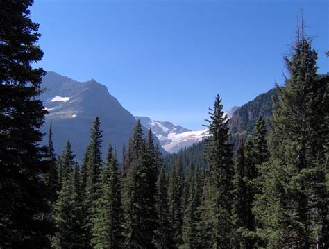 Jackson Glacier Overlook Glacier National Park All You Need To Know