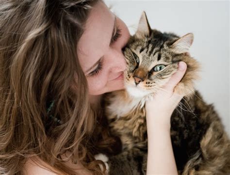 Health Benefits Of Living With A Cat Daily Vet Petmd
