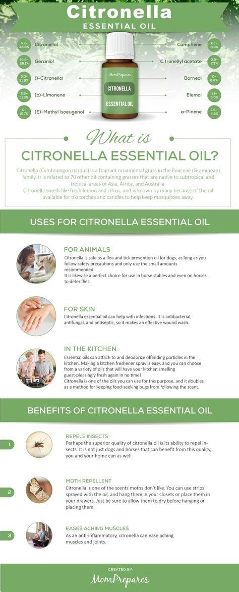 Citronella Essential Oil The Complete Uses And Benefits Guide In 2023