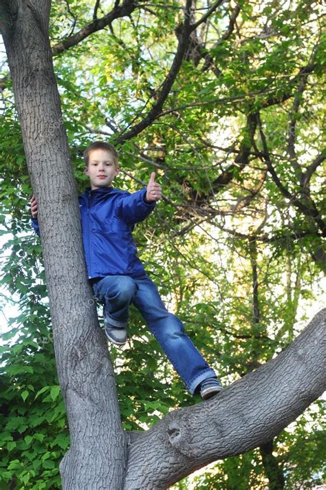 Boy Climbing On Tree — Stock Photo © Lanych 52345077