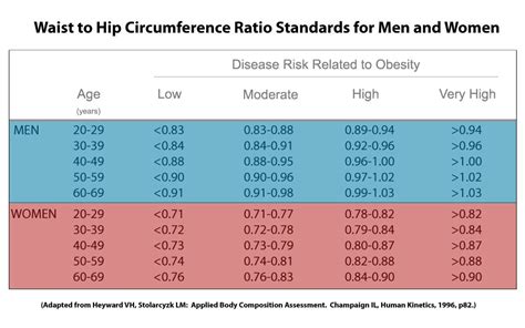 Hip To Waist Ratio Ysfitnesstests