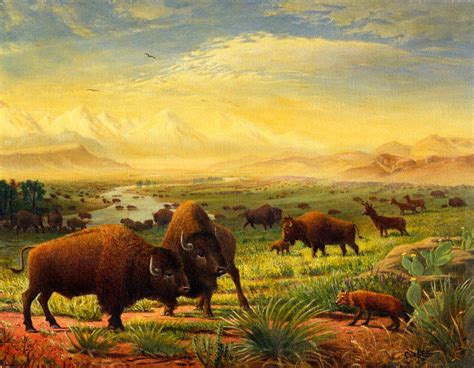 Buffalo Fox Great Plains Western Landscape Oil Painting Bison