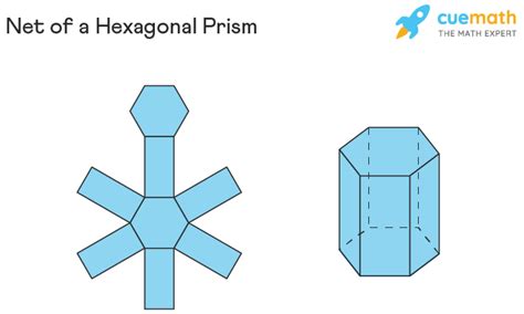 Hexagonal Prism Formula Properties Examples Definition
