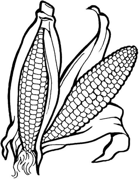 vegetable coloring pages  coloring pages  kids