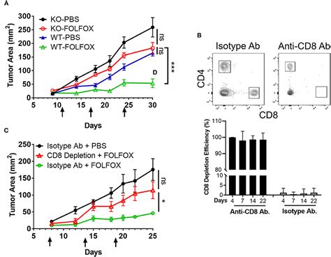 Frontiers Folfox Chemotherapy Ameliorates Cd8 T Lymphocyte Exhaustion And Enhances Checkpoint