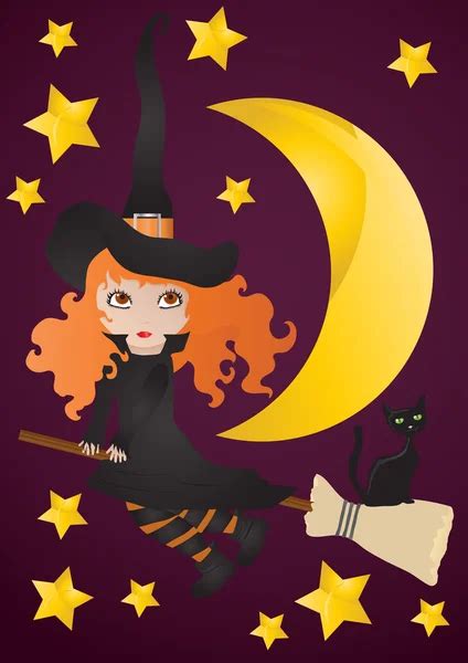 Witch With Black Cat On The Broom — Stock Vector © Pressmaster 11696437