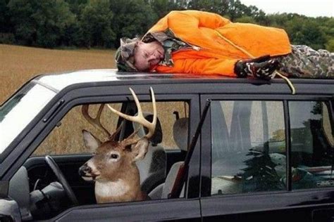 Thanksdeer Hunting Awesome Pin Funny Deer Deer Hunting Humor