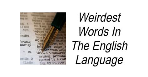 Weirdest Words In The English Language