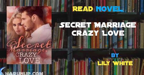 Secret Marriage Crazy Love Novel By Lily White Harunup