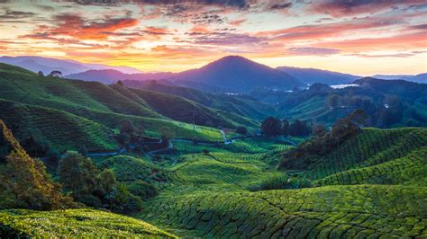 The Best Time To Visit Malaysia When To Go Steppes Travel