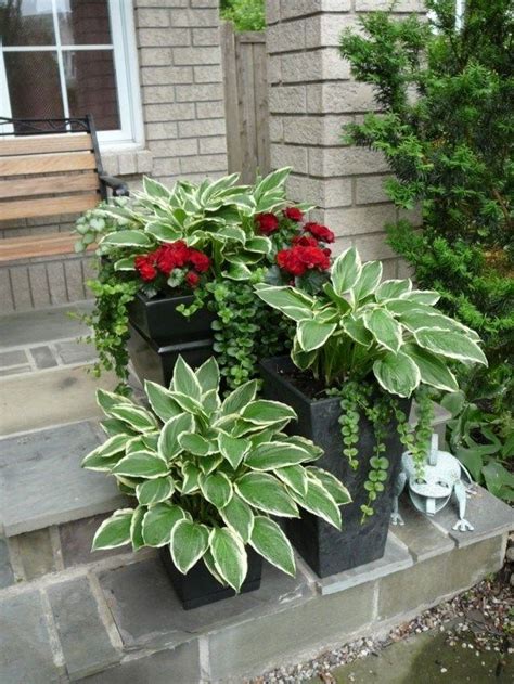 Best 15 Stunning Summer Planter Ideas To Beautify Your Home Indoot