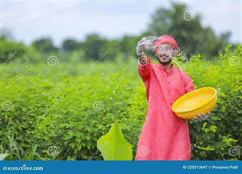 Indian Farmer Spreading Fertilizer In The Green Banana Field Stock Image Image Of Outdoor