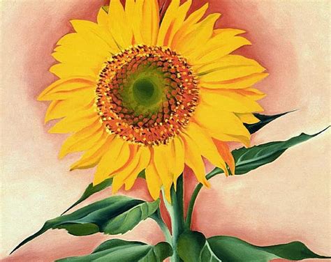 A Sunflower From Maggie By Georgia Okeeffe Oil On Canvas 1937