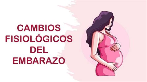 Cambios Fisiol Gicos Del Embarazo Delia Caballero Mas Udocz