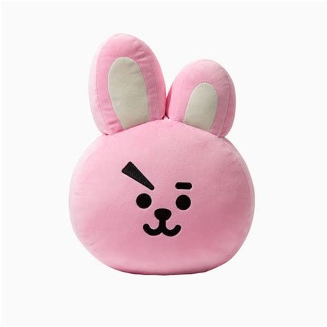 از کانال بای مجبور شدم لغو بدم( کپشن کانال). COOKY cushion pillow (30cm) bt21 . BTS JUNG KOOK (instock ...