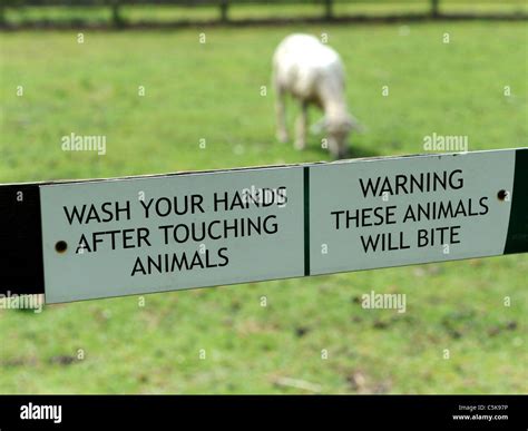Warning Sign Wash Your Hands After Touching Animals These Animals Bite