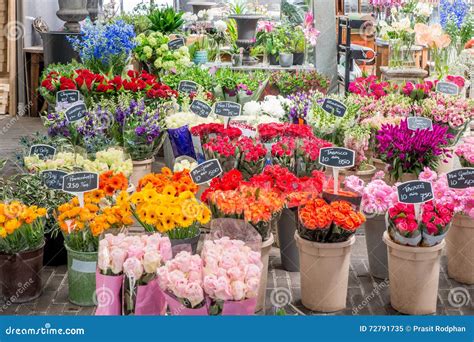 Flower For Sale At A Dutch Flower Market Amsterdam Netherlands Stock