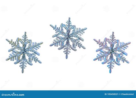 Three Snowflakes Isolated On White Background Stock Image Image Of