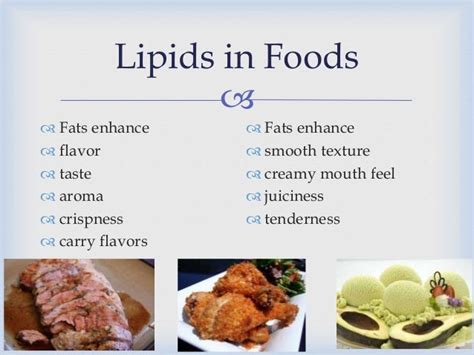 50 Examples Foods That Have Lipids Background Foods In The World
