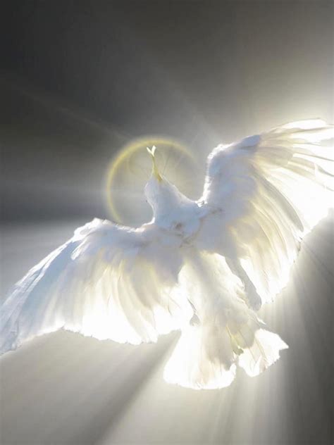 Sacredfemininegypsyheart Holy Spirit Prophetic Art Holy Ghost