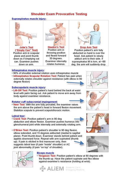 Shoulder Special Tests Hand Therapy Shoulder Rehab Subscapularis Muscle