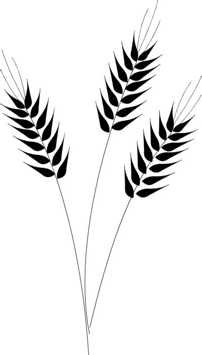 Free Wheat Clip Art Black And White Download Free Wheat Clip Art Black