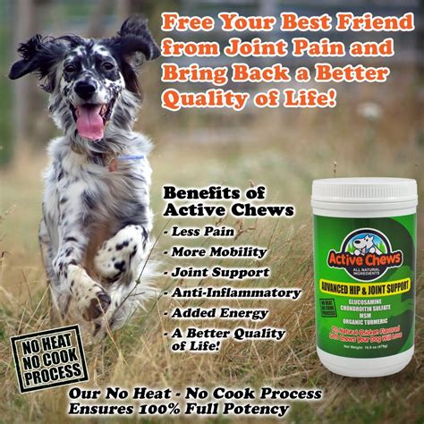 Active Chews Premium Hip And Joint Dog Treats Glucosamine For Dogs