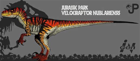 Velociraptor Nublariensis Updated Info And Art By Hellraptor On