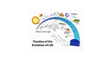 Evolution Of Life On Earth Timeline Diagram Postcard